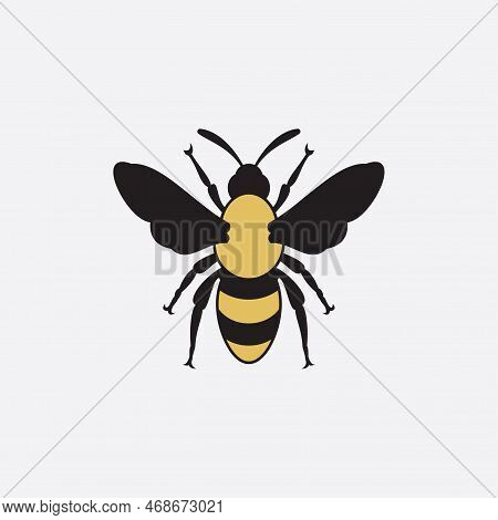 Bee Logo Vector Illustration Design Icon Logo