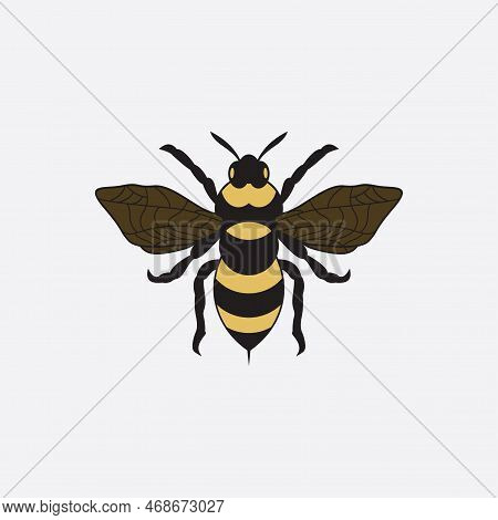 Bee Logo Vector Illustration Design Icon Logo