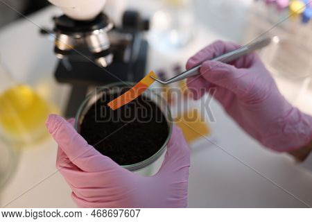 Laboratory Analysis Of Soil And Test Strip Ph. Agrochemical Expertise In Laboratory Concept
