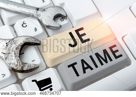 Text Showing Inspiration Je Taime. Business Overview Expressing I Love You Words In French