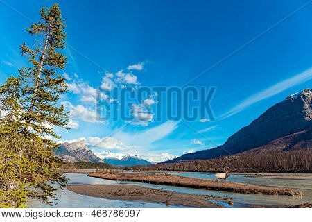 The Magnificent Giant Scenic Langfossen Waterfall Is Reflected In The Smooth Water Of The Acre Fjord