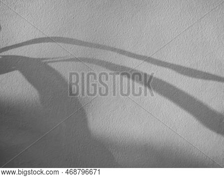 Abtract Overlay Shadow Leaves On Grey Cement Background,texture Surface Design Vintage Styles Backdr