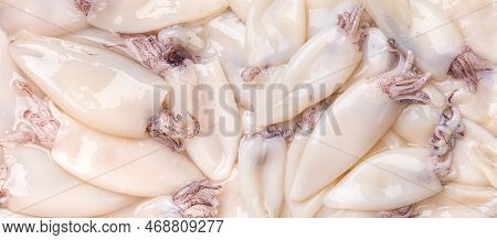 Fresh Squid Tubes Background. Small Calamary Fillet Texture Closeup. Raw Squid Molluscs Prepared For