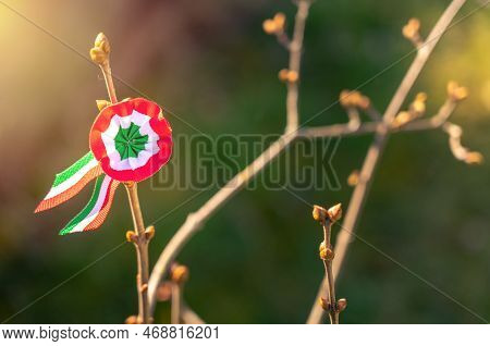 Hungarian Spirit On National Holiday 15Th March With Rosette Pin And Sunlight