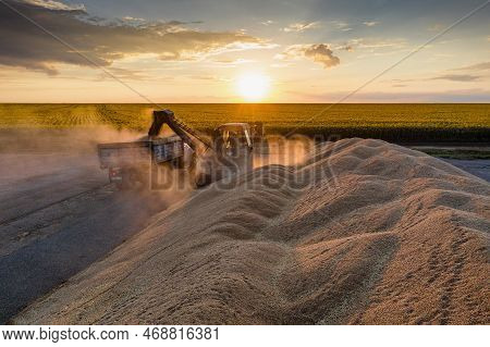 Asekeyevo, Orenburg Region  Russia - 08.04.2022: Volga Region, Harvest Season. A Mountain Of Wheat O