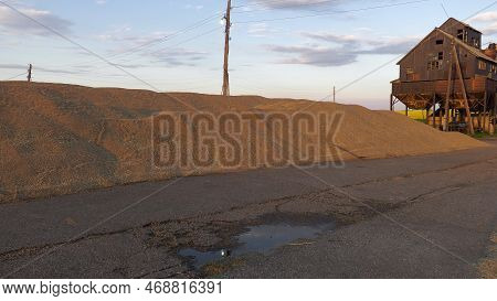 Volga Region, Harvest Season. A Mountain Of Wheat On The Site Of The Threshing Floor.
