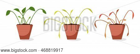 Vector Set Of Dying Home Plants Isolated On White Background. Dry Soil Makes Pot Plant To Wilt And B