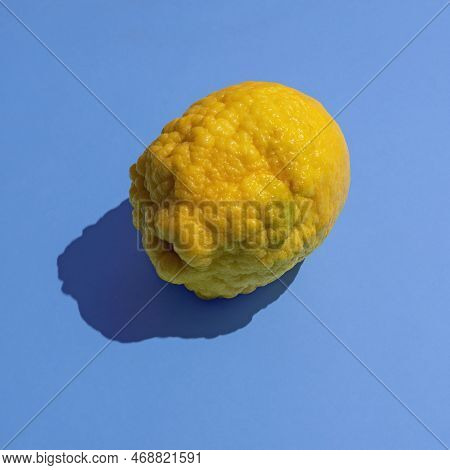Yellow Citron (citrus Medica, Cedrate ) Fruit On Blue Background. Copy Space