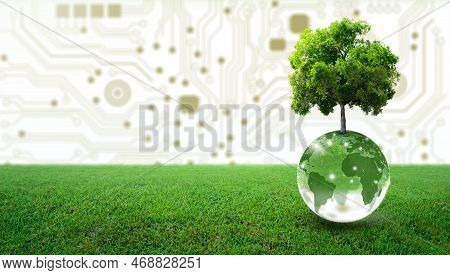 Tree Growing On Crystal Globe And Green Grass. Digital Convergence And Technology Convergence. Envir