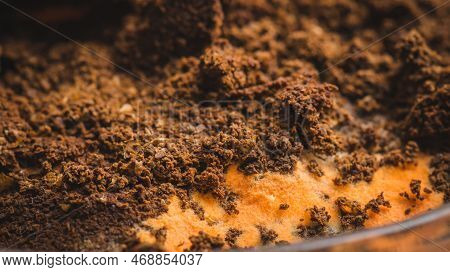 Multicolored Mold On A Food Surface. Close-up Of Colorful Growth Mustiness Mushrooms On A Food. Gree