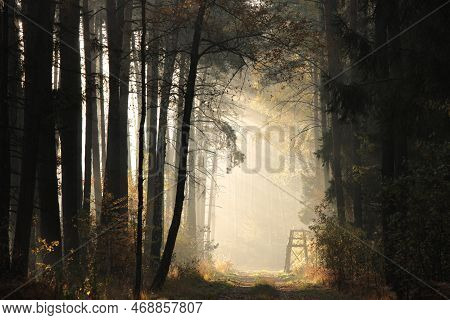Road path autumn forest woods Nature trees sunset landscape Nature landscape Nature landscape landscape Nature background Nature landscape Nature background landscape Nature background Nature landscape Nature background Nature landscape Nature background.