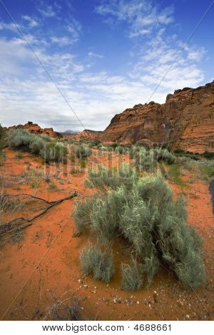 Redrocks e sabbia In Snow Canyon - Utah