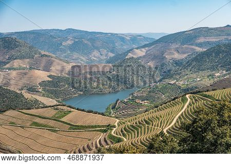 Viewpoint Of Vargelas Allows To See A Vast Landscape On The Douro And Its Man-made Slopes. Douro Reg