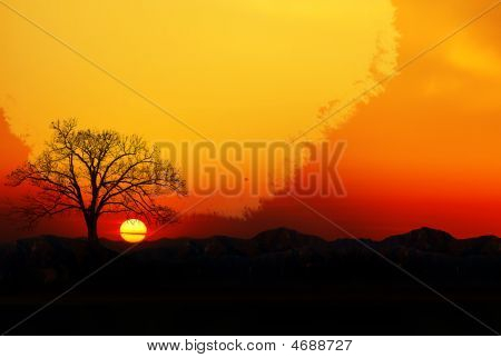 Sun Rising