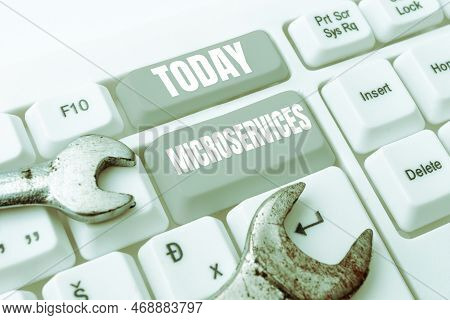Hand Writing Sign Microservices. Business Overview Software Development Technique Building Single Fu