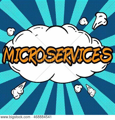 Conceptual Caption Microservices. Business Approach Software Development Technique Building Single F
