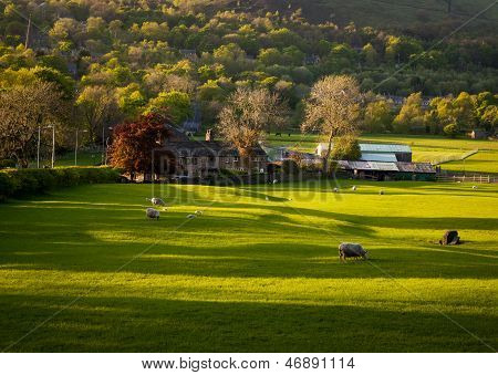 фермы дом выпаса овец