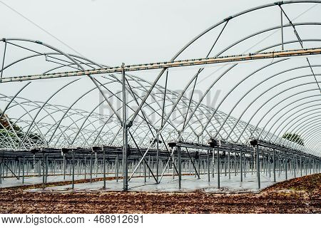 Interior Of Modern Hothouse With An Advanced System Of Irrigation And Plant Care In Off-season. Poly