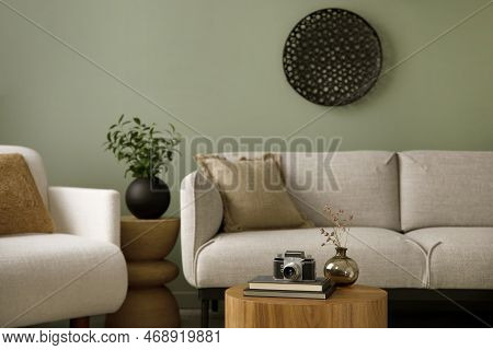 Stylish Composition Of Living Room Interior With Green Wall, Grey Sofa With Grey Pillow. White Armch
