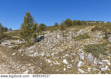 Landscape Of Pirin Mountain Near Orelyak Peak, Bulgaria