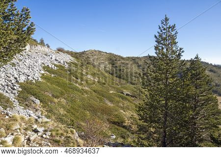 Landscape Of Pirin Mountain Near Orelyak Peak, Bulgaria