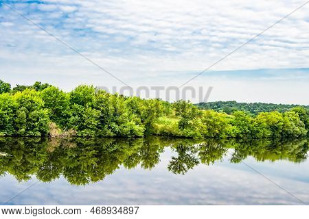 Beautiful Grass Swamp Reed Growing On Shore Reservoir In Countryside