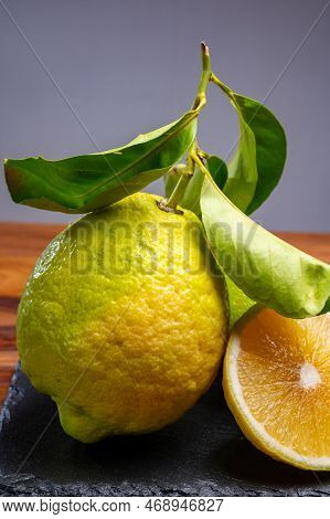 Lemon Citron Cedrate Or Citrus Medica, Large Fragrant Citrus Fruit With Thick Rind