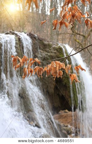 Herfst bladeren op waterval achtergrond