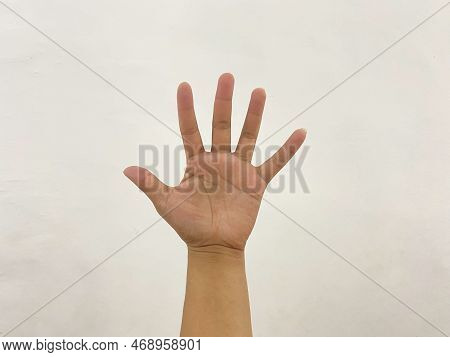 Someone Left Hand Showing All Five Fingers. Open Hand Show All Fingers, Isolated On White