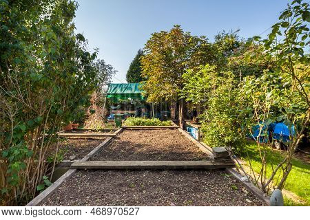 Hardwick, Cambridgeshire - August 30 2018: Surburban Vegetable Patch With Raised Beds And Seedlings