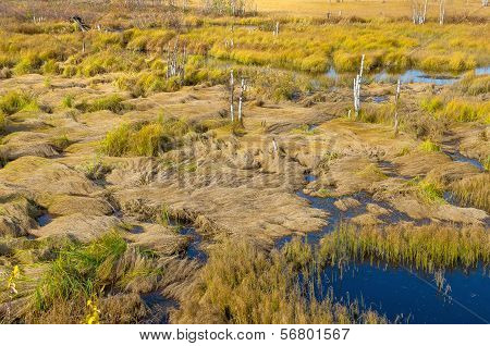 Impassable Swamp