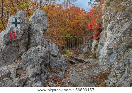 Tasnei Gorge