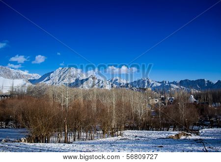 winter in Himalayan planes