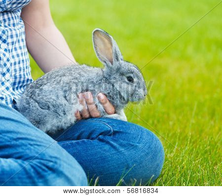 Cute Little Grey Rabbit In The Hands Of A Woamn On Green Grass Background