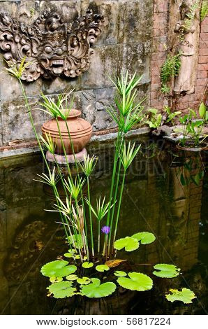 Asian pond