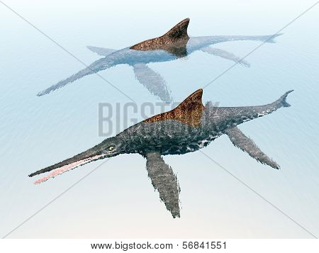 Ichthyosaur Shonisaurus