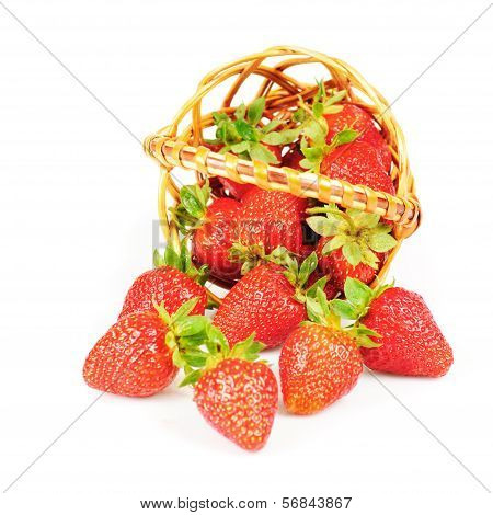 Strawberries In Basket