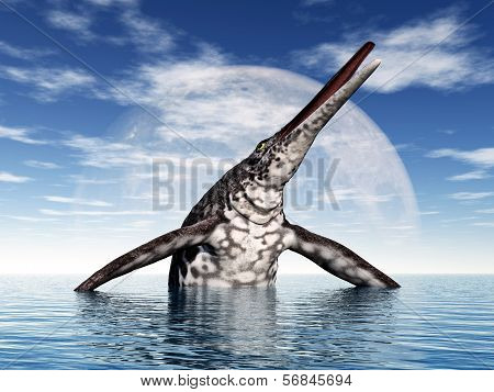 Ichthyosaur Shonisaurus