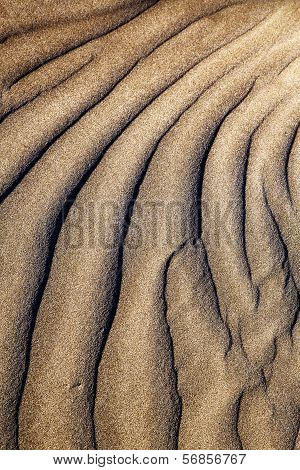 Texture Abstract Of A  Dry Sand
