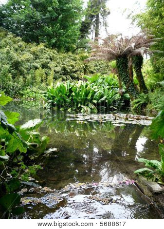 Trooppiset puutarhat Heligan