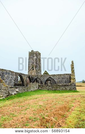 Kilcrea, Ireland - November 28: Kilcrea Friary On November 28, 2012 In Co.cork, Ireland