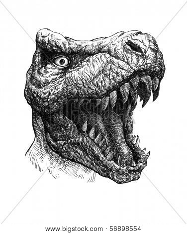 Tyrannosaurus Dinosaur. Hand drawn. Jpeg version.