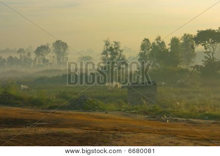 Misty Morning