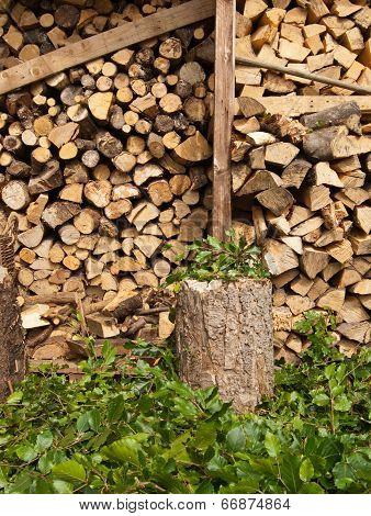 Logs and Leaves