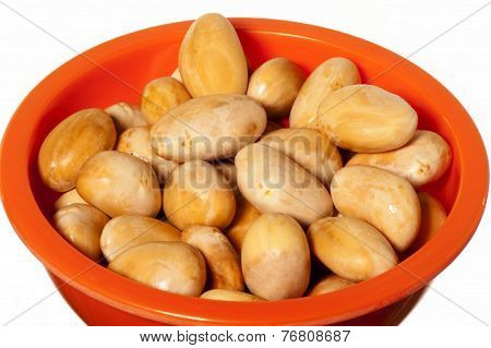 Jackfruit Seeds