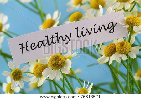 Healthy living card with chamomile flowers on blue background