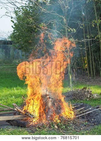 Burning Fire