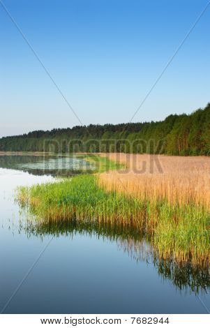 Costa di lago