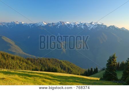 Prato di montagna