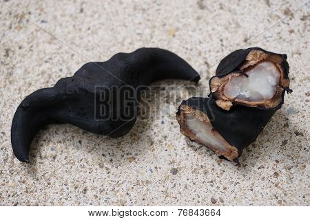 The Water Chestnut Fruit 5